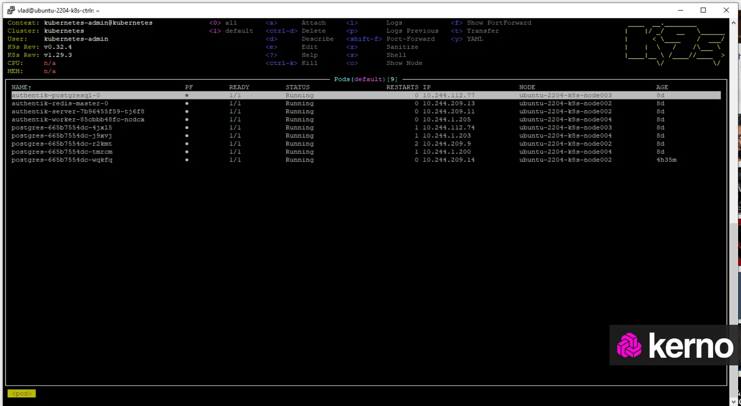 Figure 2 - Introduction to Kubernetes via K9S | Pods inside the Kubernetes cluster